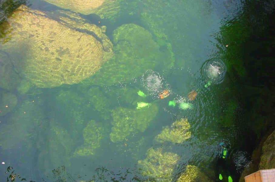 Taucher im grün schimmernden Flussbett aus Vogelperspektive.
